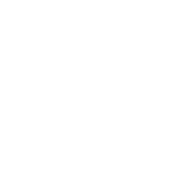 team_hicks_logo